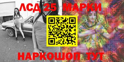 индика Камышлов