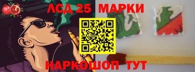 индика Камышлов