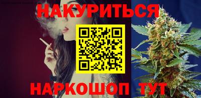 индика Камышлов