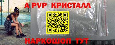 индика Камышлов