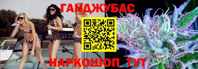 индика Камышлов