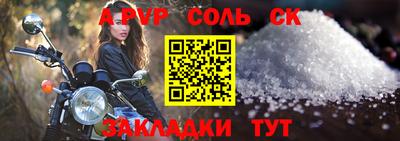 индика Камышлов