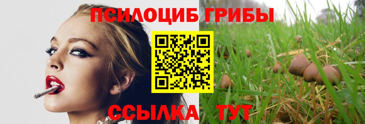 Комсомольск-на-Амуре  Галлюциногенные грибы мицелий  Вход с VPN  Псилоцибиновые грибы MAGIC MUSHROOMS 